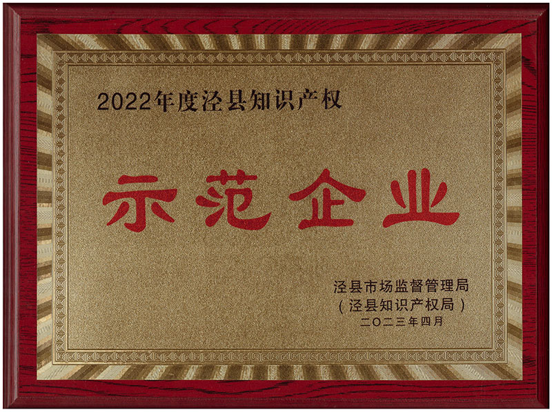 2023年涇縣知識產(chǎn)權(quán)示范企業(yè)